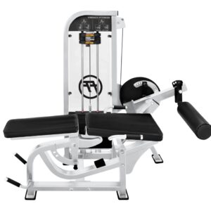 Life Fitness Prone Leg Curl Leg Extension - Used